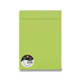 Farbumschlag Clairefontaine, C4 229 x 324 mm, grün, 5 Stück